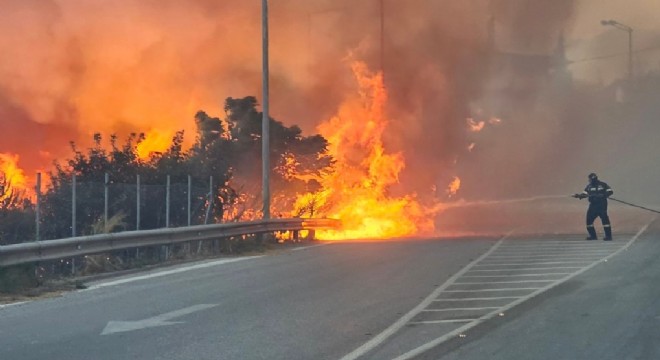 Çeşme'nin komşusu Sakız 'Büyük Felaketi' yaşıyor!