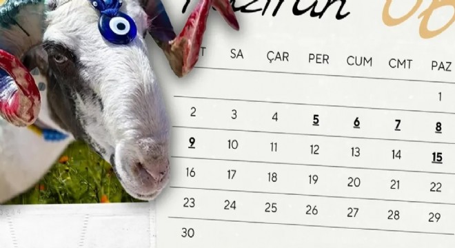 Kamu çalışanlarına Kurban Bayramı tatili 9 gün olacak!