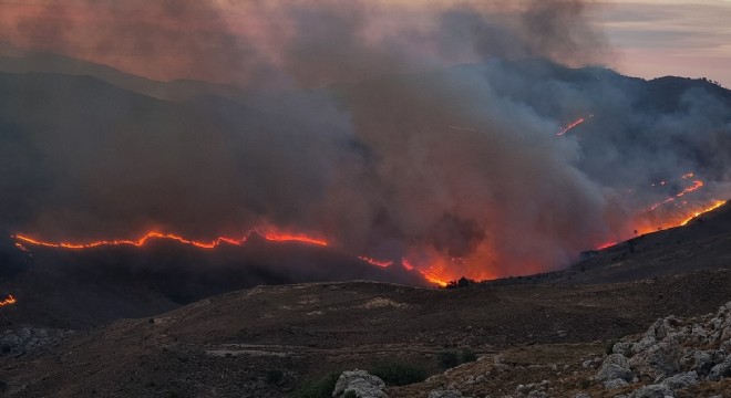 Sakız Adası'nın yüzde 20'si yandı!